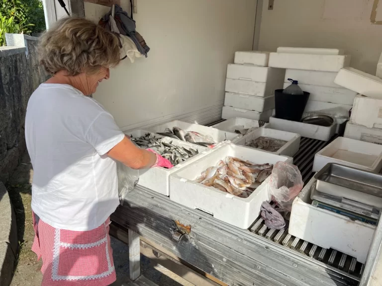 a mobile fish monger displaying her wares