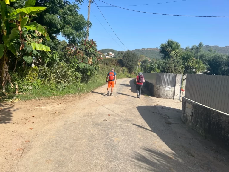 Huub and Jan walking along the road