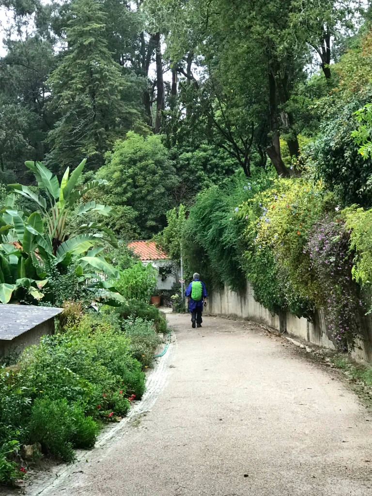 Richard strolling through the park in Sintra