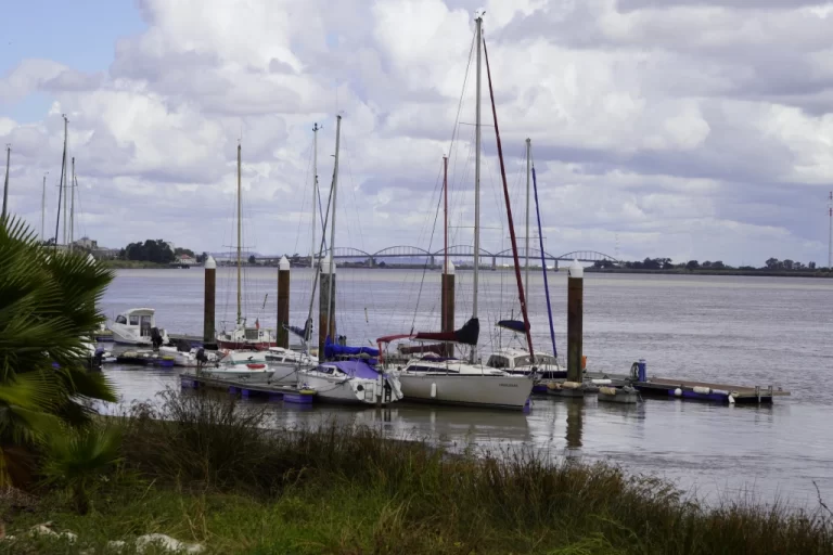 boats moored along the River Tejo