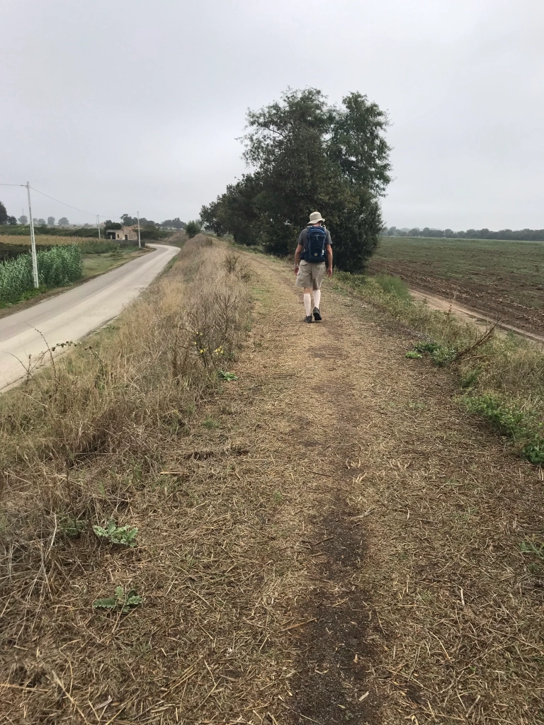 elevated pathway next to farm fields