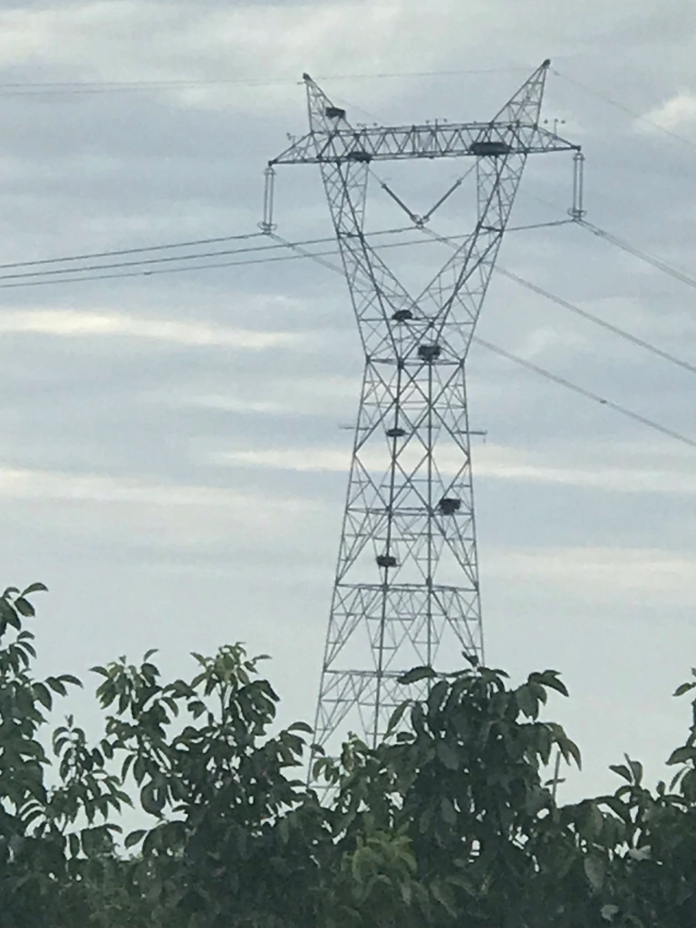 stork nests in the transmission towers