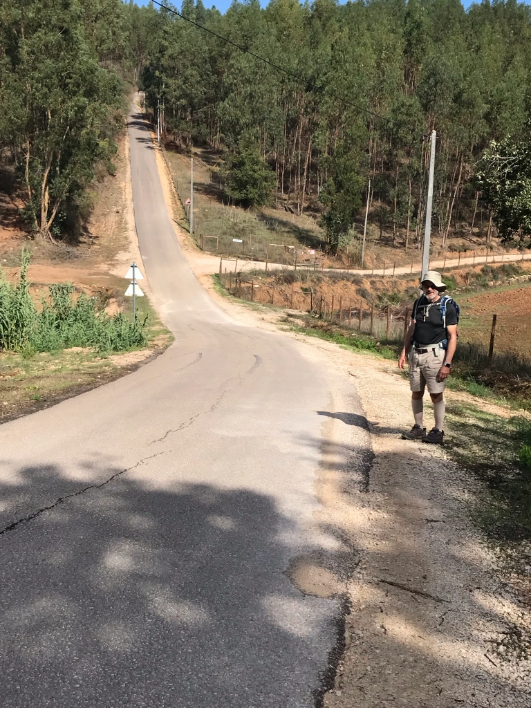 walking along the road