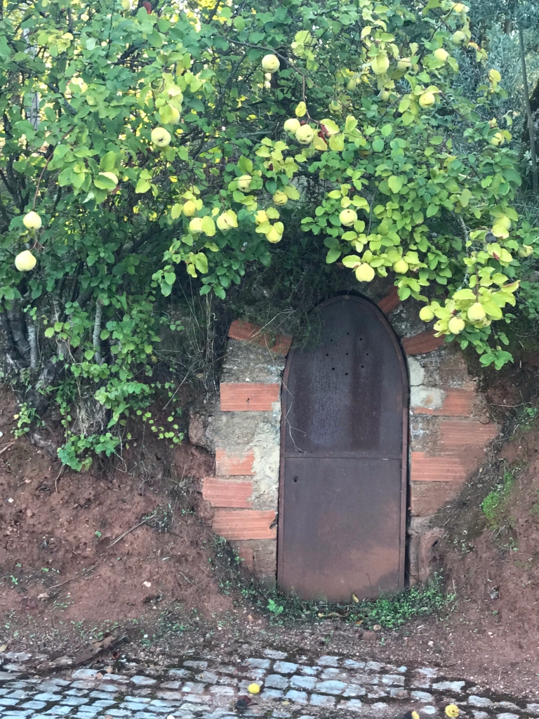 a fairy door in a wall