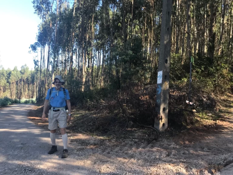 On the road with Camino markers