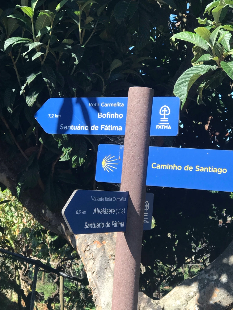 Camino markers