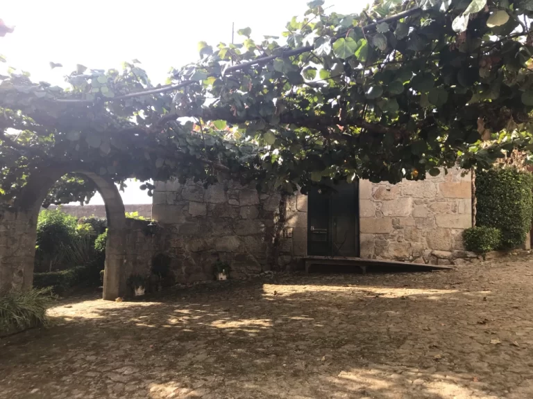 the garden outside our room in Arcos