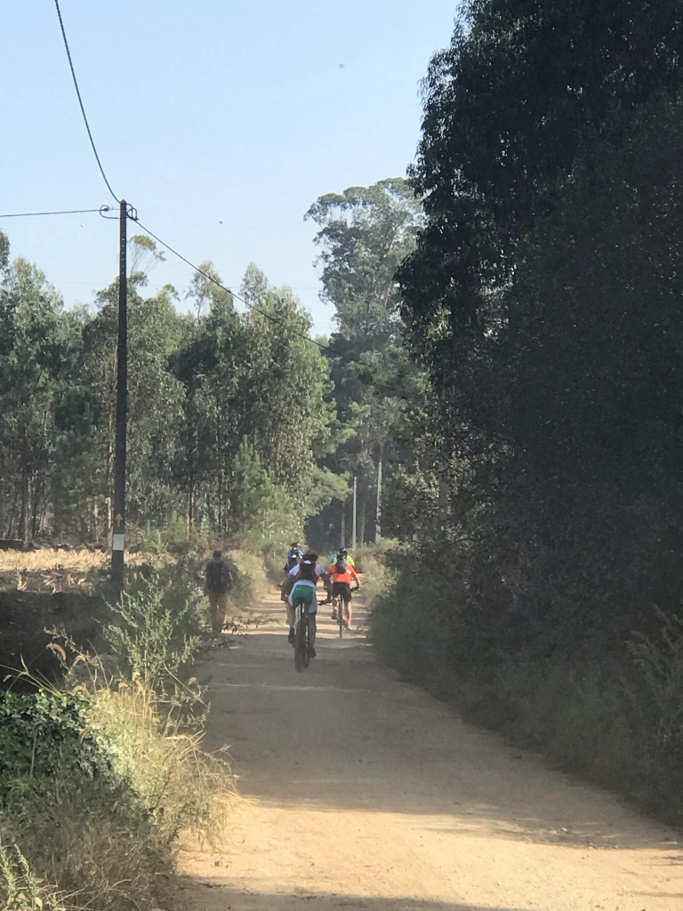 bicyclists on the trail