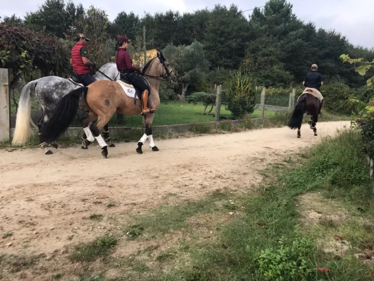 equestrians practicing some fancy moves