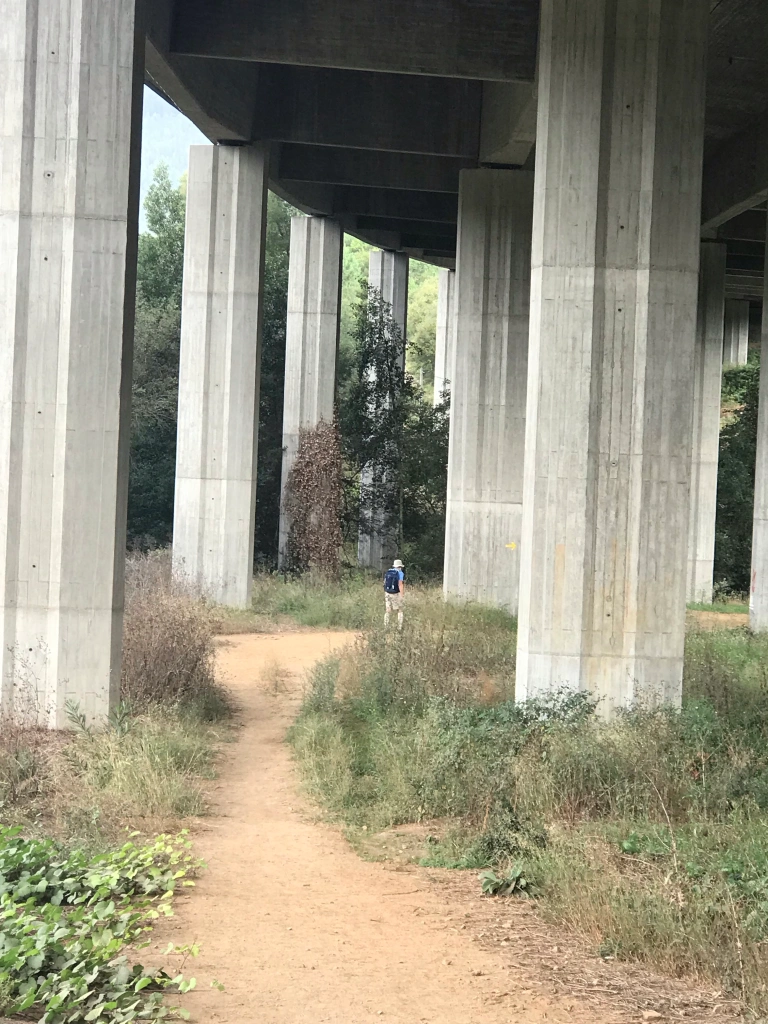 trail under the highway