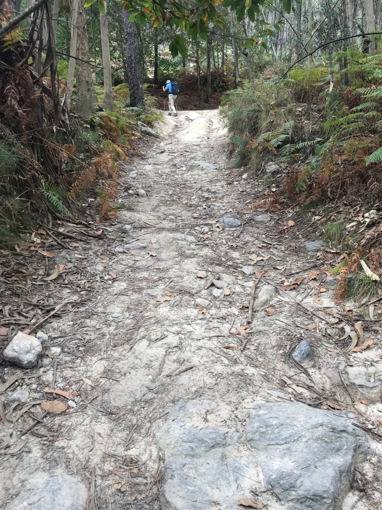 rocky steep paths