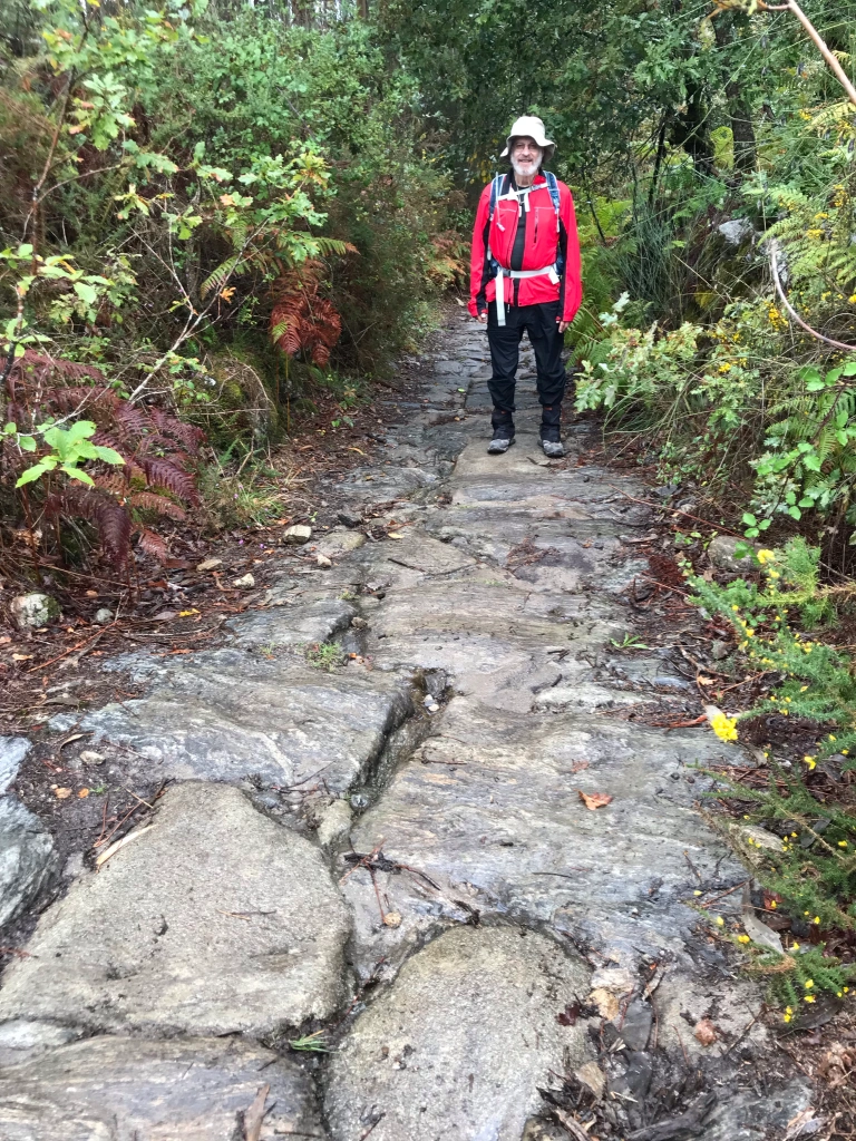 mountain pathway