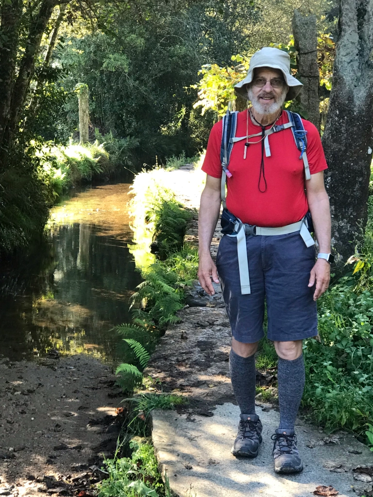 narrow path raised to keep feet dry