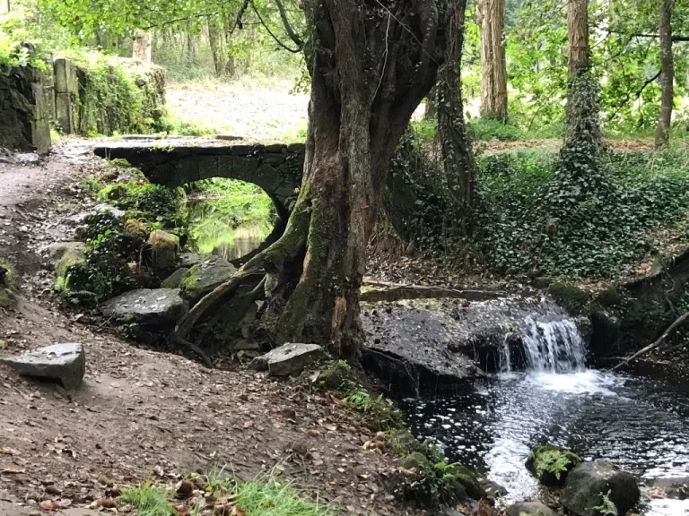 pathway creek on the way to Pontevedra