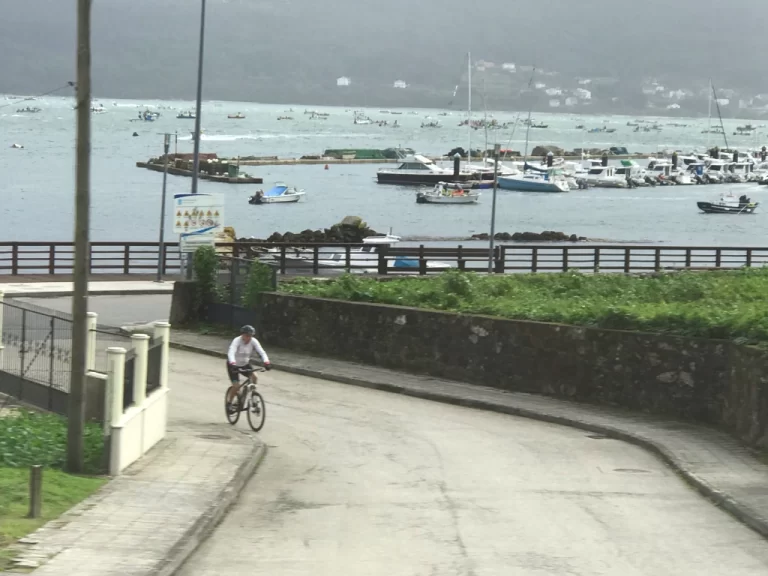 bicyclist in a coastal town