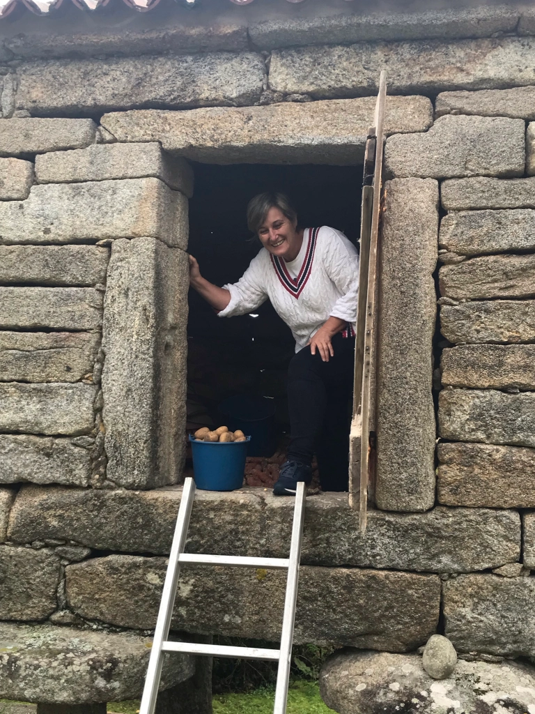 Maria Jesus collecting potatoes from the horario