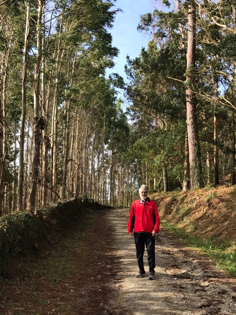 Richard on the Camino path near Frixe