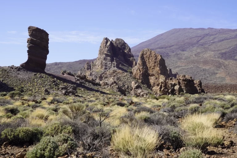 Roques de Garcia area lava structures